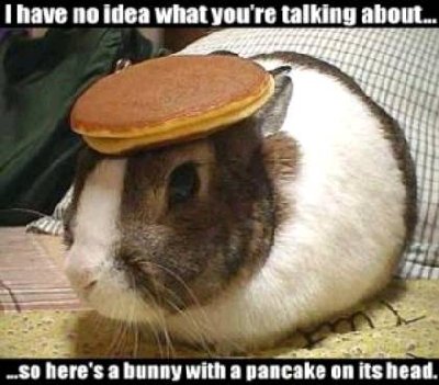 whatareyoutalkingabout.jpg