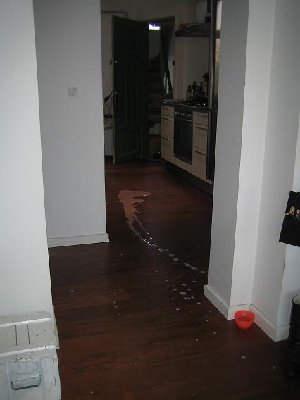 IMG_5257.JPG