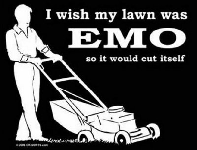 emolawn.jpg