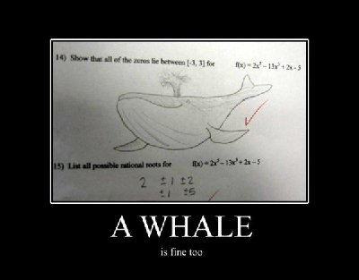 a_whale.jpg