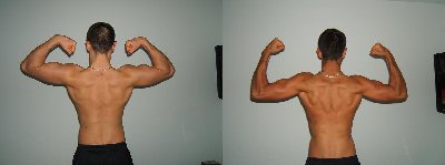 Back biceps - sammenligning - 03-02-10.jpg