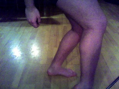 calves.jpg