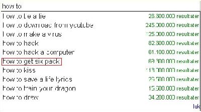 Google søgning.JPG