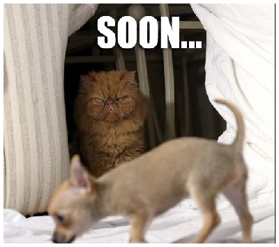 soon.png
