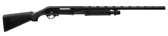 Gun.jpg