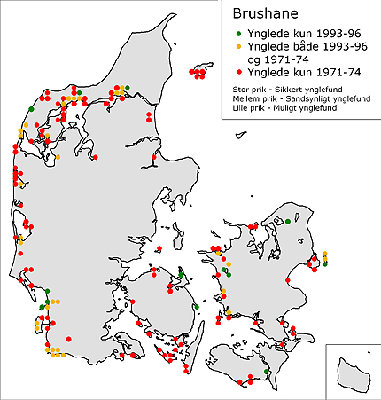 05170_atlas (1).jpg