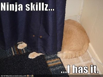 ninjacat.jpg