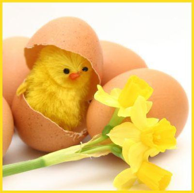 easter.jpg