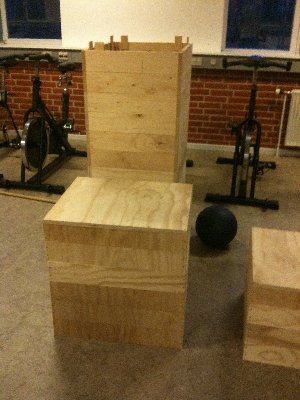 plyo 2.jpg