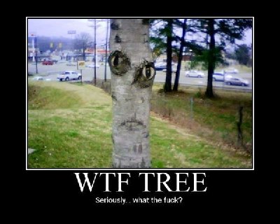 wtf_tree.jpg