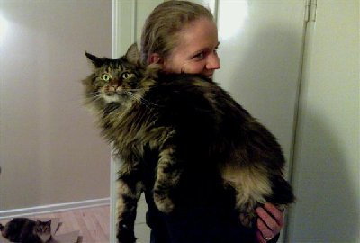 hangingfido (Small).jpg