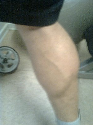 calve.jpg