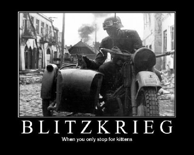 kittykrieg.jpg