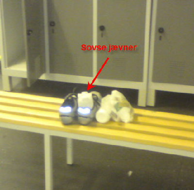 sovsejaevner.jpg