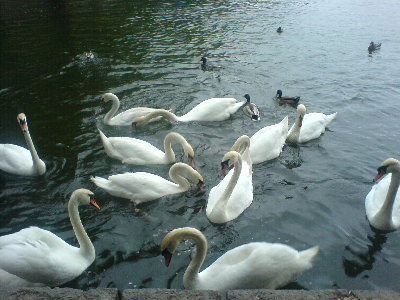 DSC00717.JPG