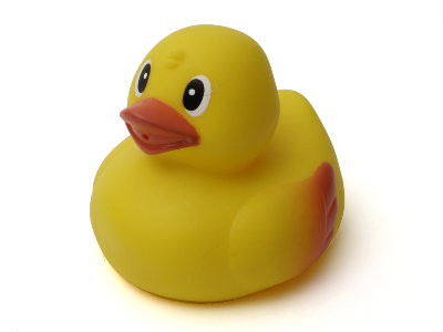 Quack.jpg