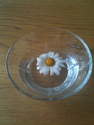 blomst.jpg