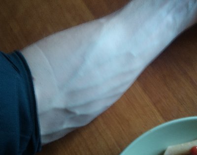 DSC00262_2.JPG