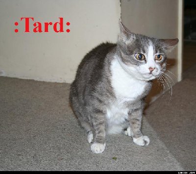tard.jpg