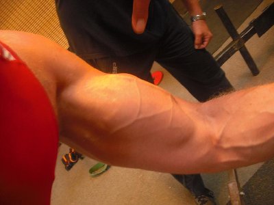 veins.jpg