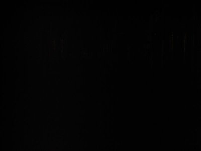 DSC01939 (Medium).JPG