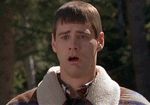 juwiz8.jpg.gif