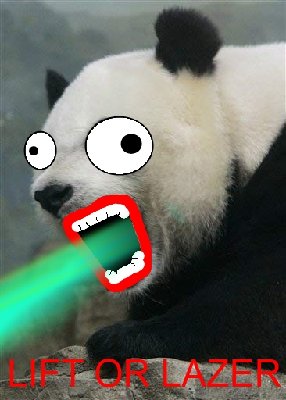 Finglazerpanda.jpg