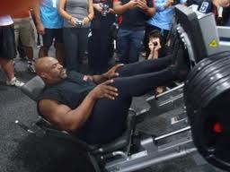 legs.jpg