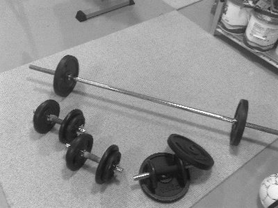 WEIGHTS.jpg