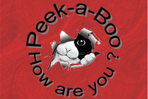 peekaboo.jpg
