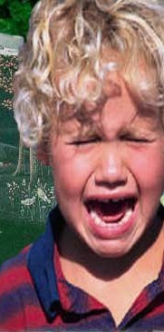 youngboy cry.jpg