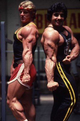 Andreas - Samir Triceps.jpg