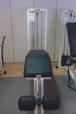 Leg Curl.jpg