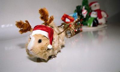 santagiftsreins.jpg