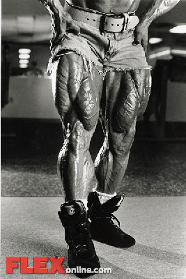 quads6.jpg