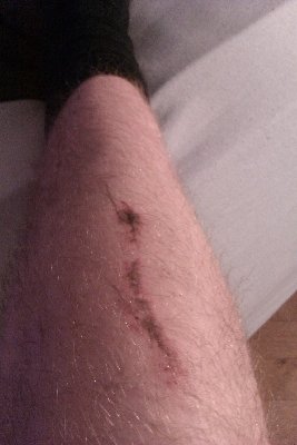 IMAG0027.jpg