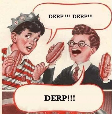 derp.jpg