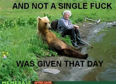 naughty-memes-bear-dont-care.jpg