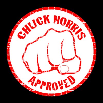 chuck_norris_approved_life_hacks_and_infos-s500x500-89561-580.jpg