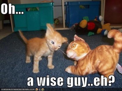 Wiseguy.jpg