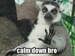 Calm down bro.jpg