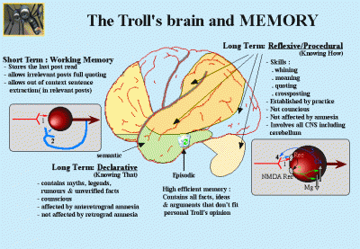 Troll's Brain and memory.gif