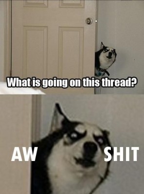 wgoitt2.jpg