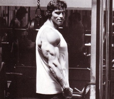 arnold_tris.jpg