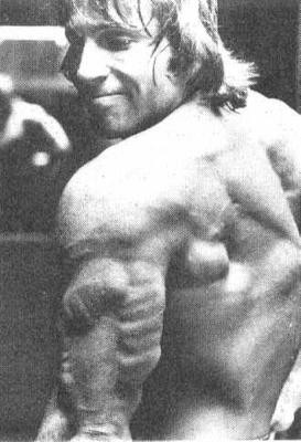 Steve_Davis_tricep.jpg