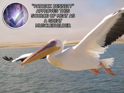 Pelikan_Walvis_Bay.jpg