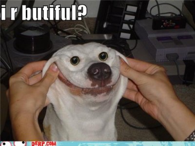 hurr-durr-derp-face-i-r-butiful.jpg