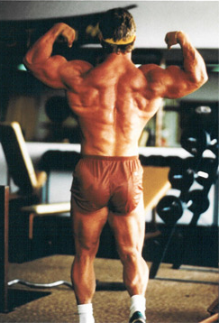 tony_little_back.png