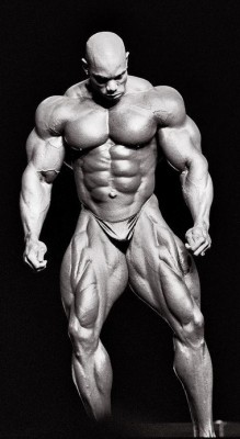 b82f8-flex_wheeler.jpg