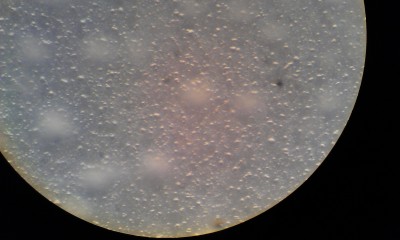 IMAG0044.jpg